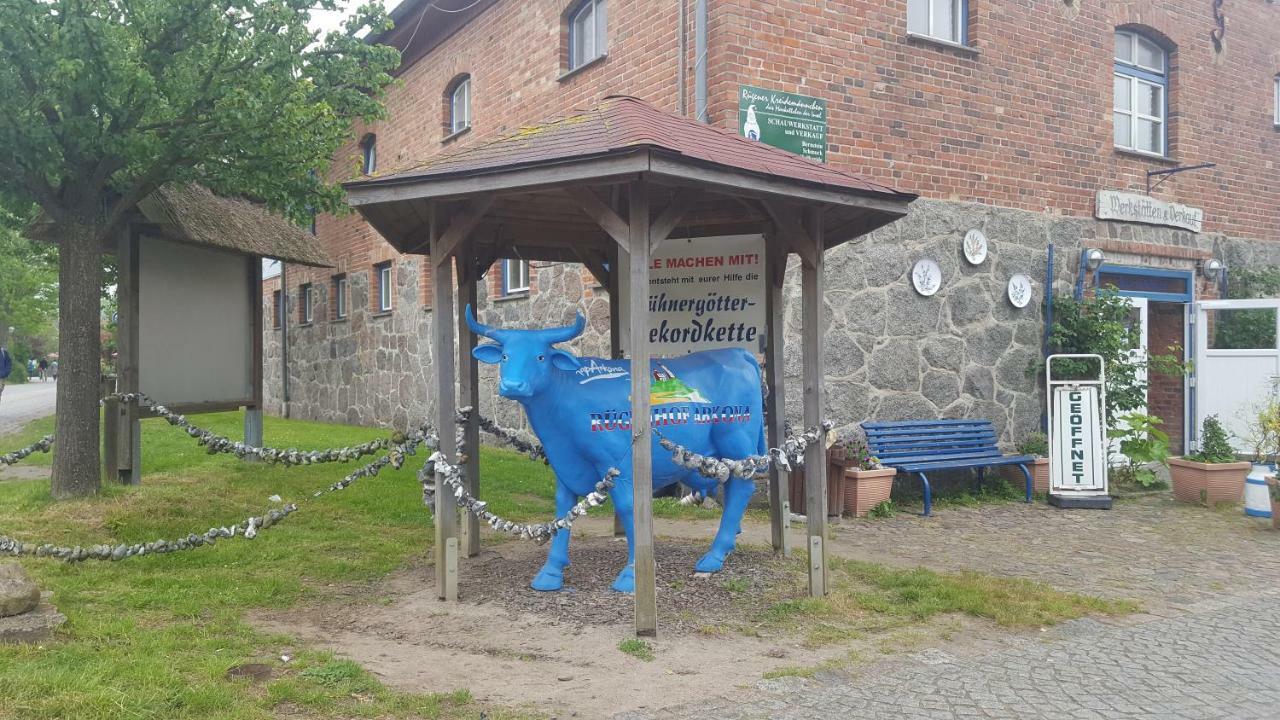 Ferienwohnung Finja In Putgarten, Kap Arkona Ruegen Екстер'єр фото